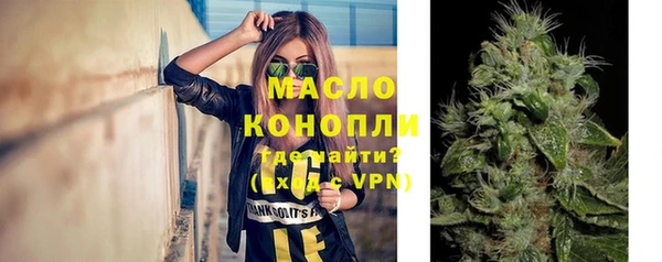 стафф Ельня