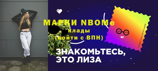 стафф Ельня