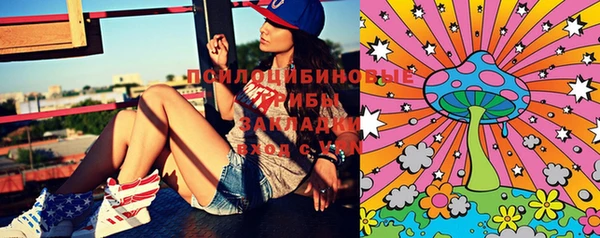 PSILOCYBIN Елабуга