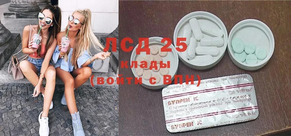 PSILOCYBIN Елабуга