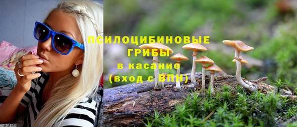 PSILOCYBIN Елабуга