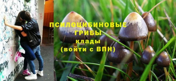 PSILOCYBIN Елабуга