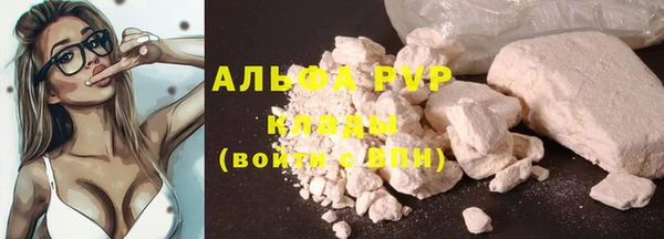 хмурый Елизово
