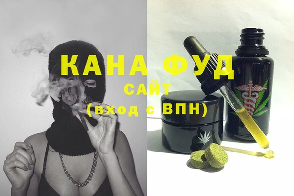 стафф Ельня