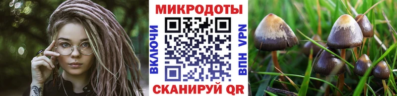 купить  сайты  Кремёнки  kraken как зайти  Псилоцибиновые грибы Psilocybe 